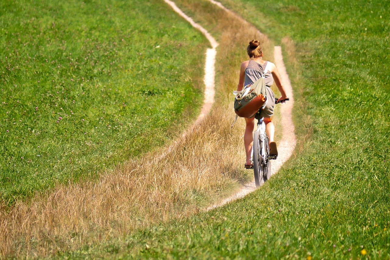 de koog fietsen